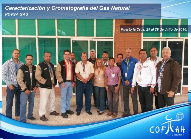 Caracterización y Cromatografía del Gas Natural (PDVSA Gas) Puerto la Cruz