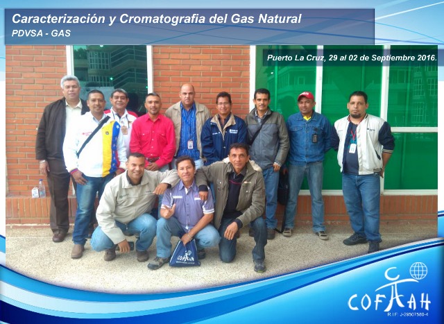 Caracterización y Cromatografía del Gas Natural (PDVSA Gas) Puerto la Cruz