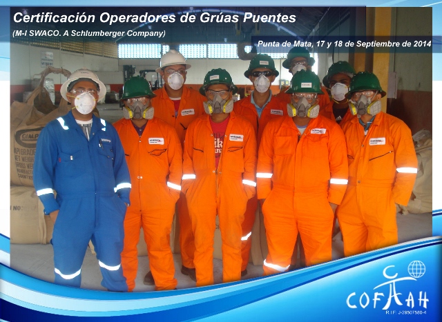 Certificación Operadores de Grúas Puentes (MI SWACO) Punta de Mata