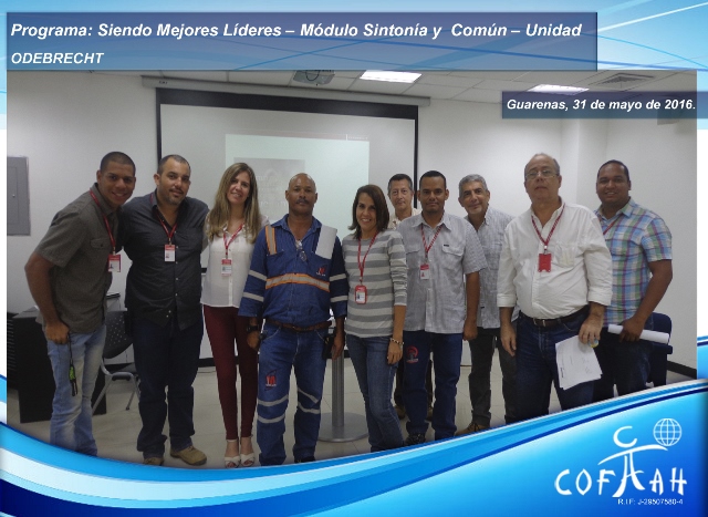 Programa: Siendo Mejores Líderes – Módulo Sintonía y Común – Unidad (ODEBRECHT) Guarenas